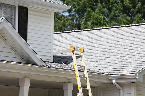 Storm Damage Siding Repair in Genoa, OH